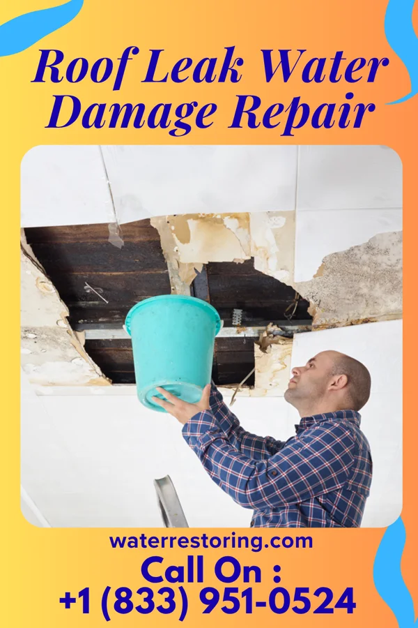Roof Leak Water Damage Repair in Clark, MO